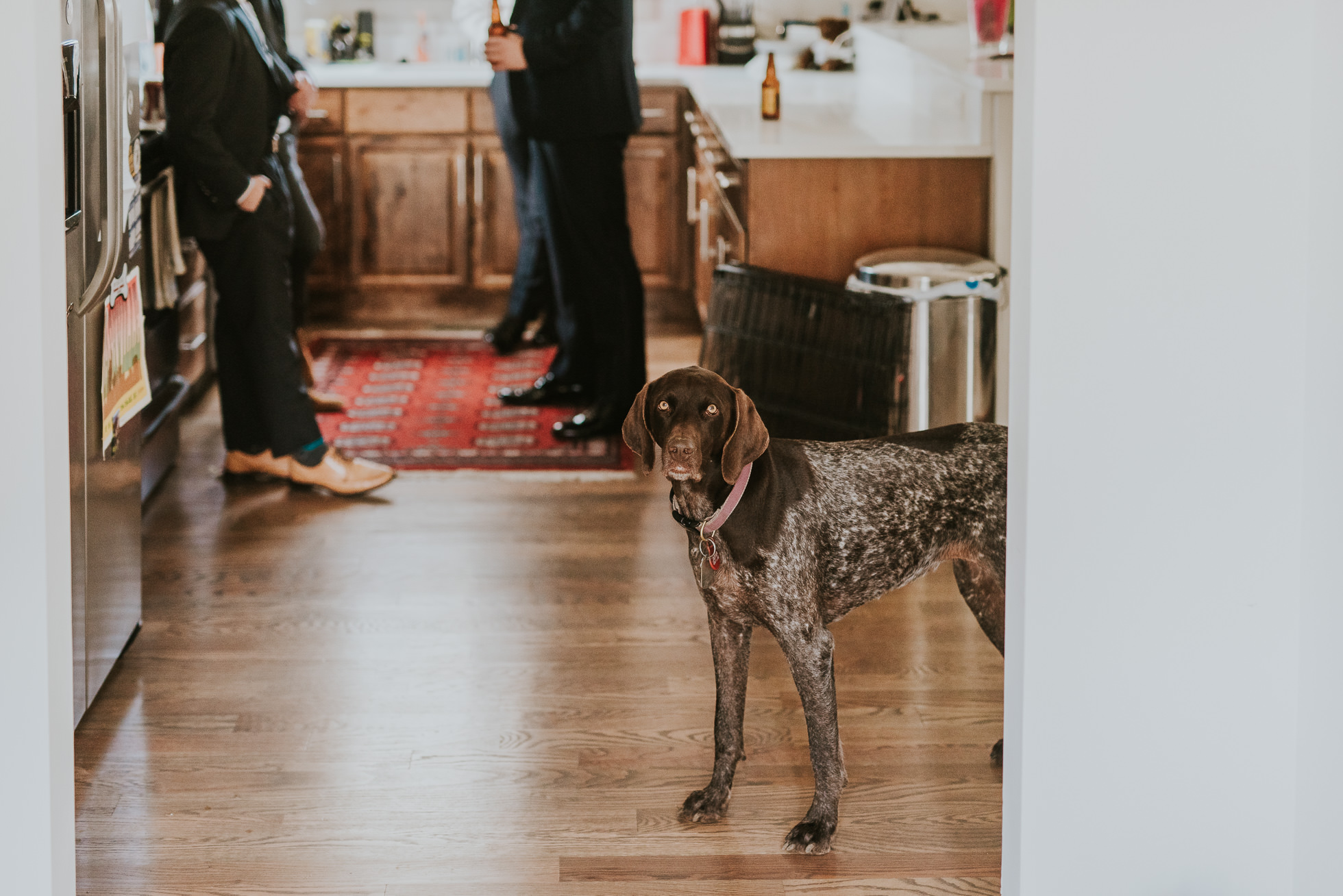 cute dog at nashville wedding