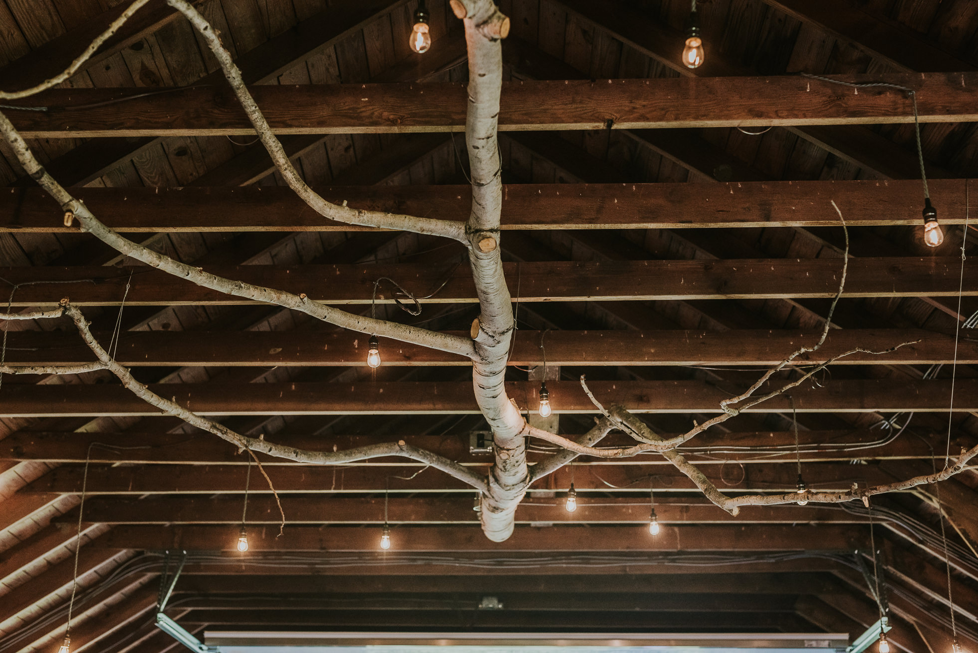 rustic ceremony decor photographed by Traverse the Tides