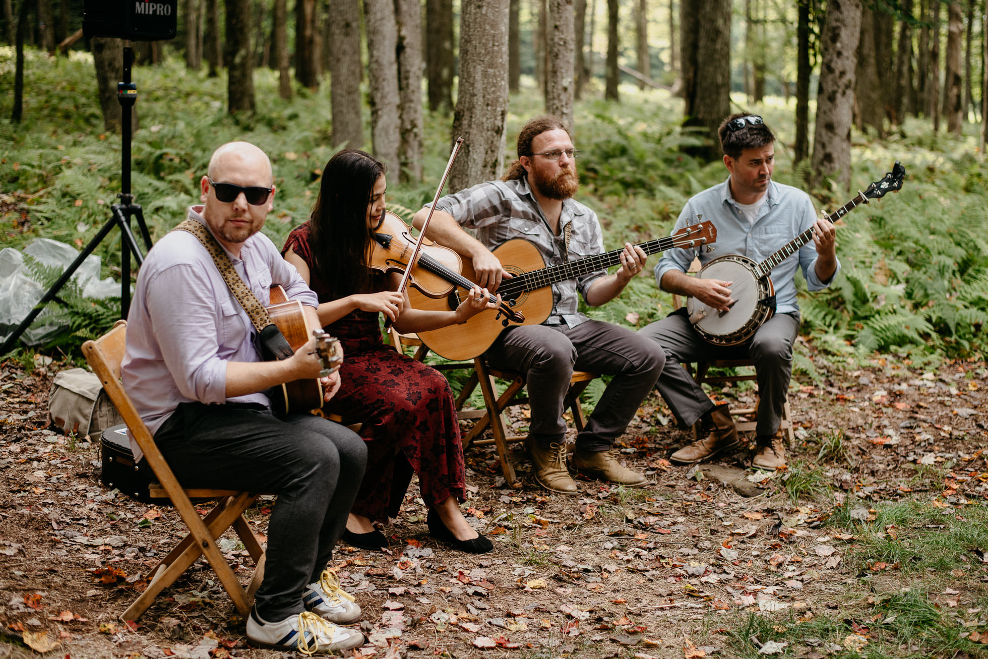 bluegrass wedding band