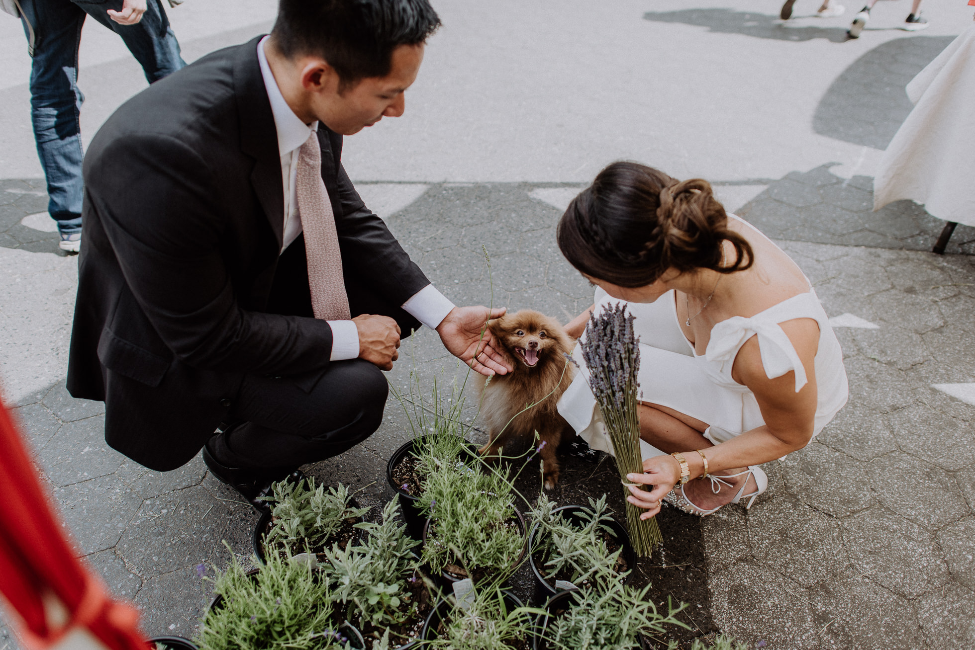 bride and groom with dog greenmarket