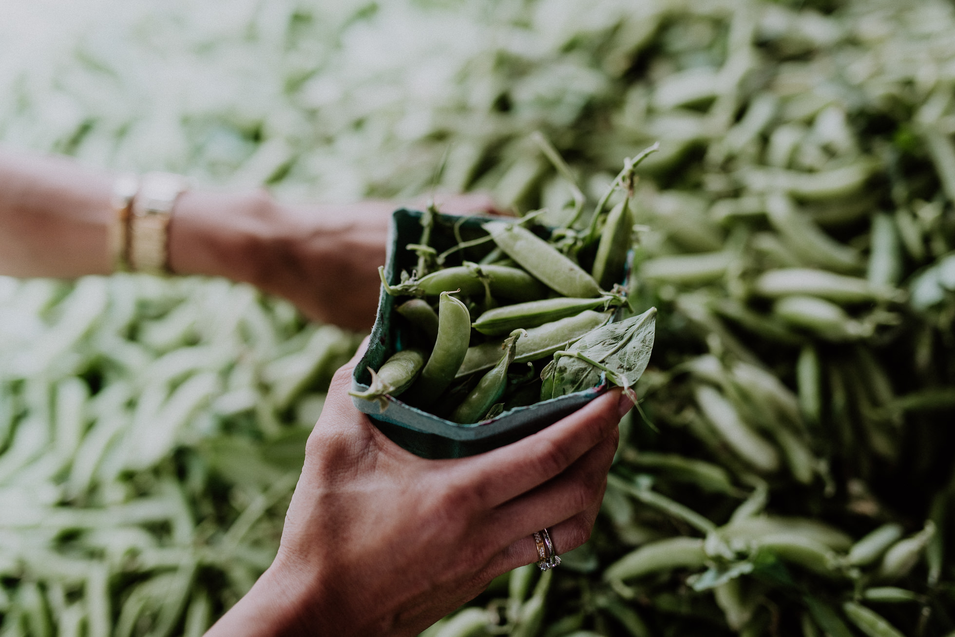 NYC greenmarket wedding photos