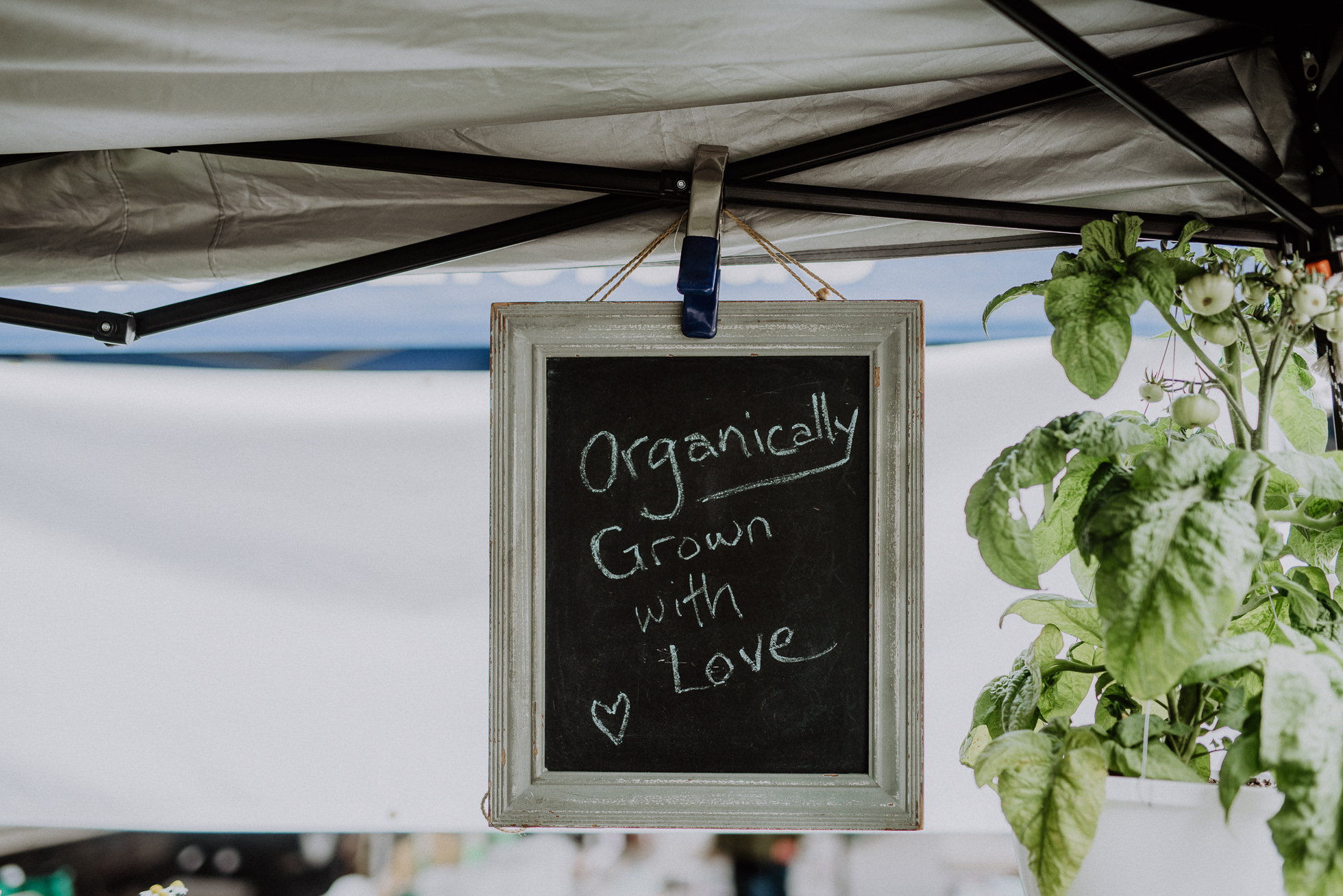 organic market engagement