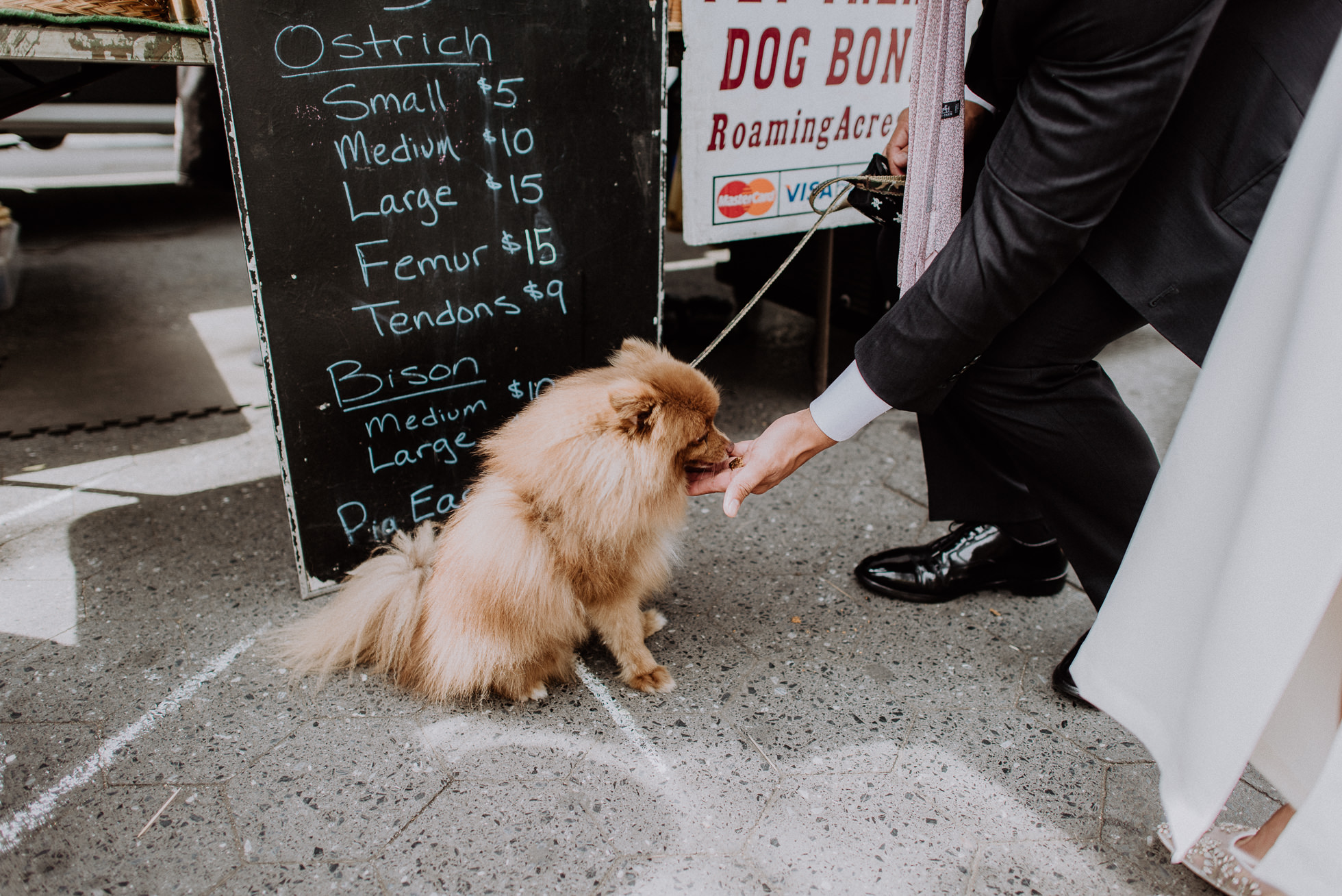 Union Square Greenmarket dog food