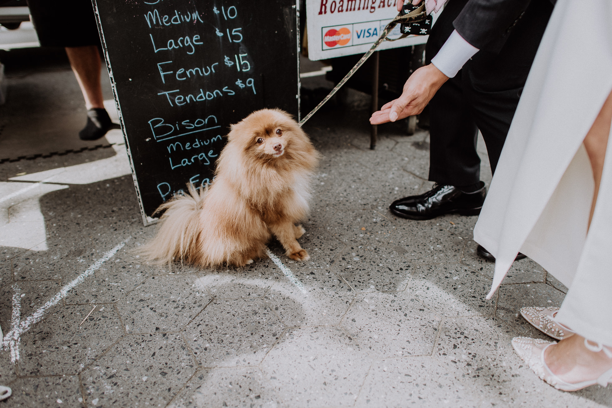 Union Square Greenmarket pet food stall