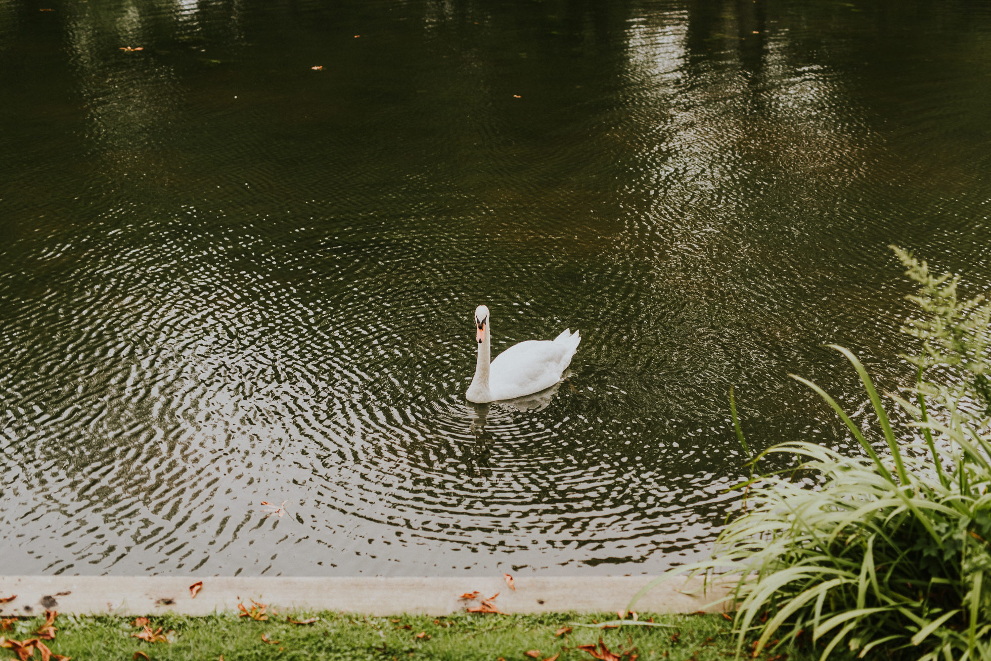 East Hampton lake wedding