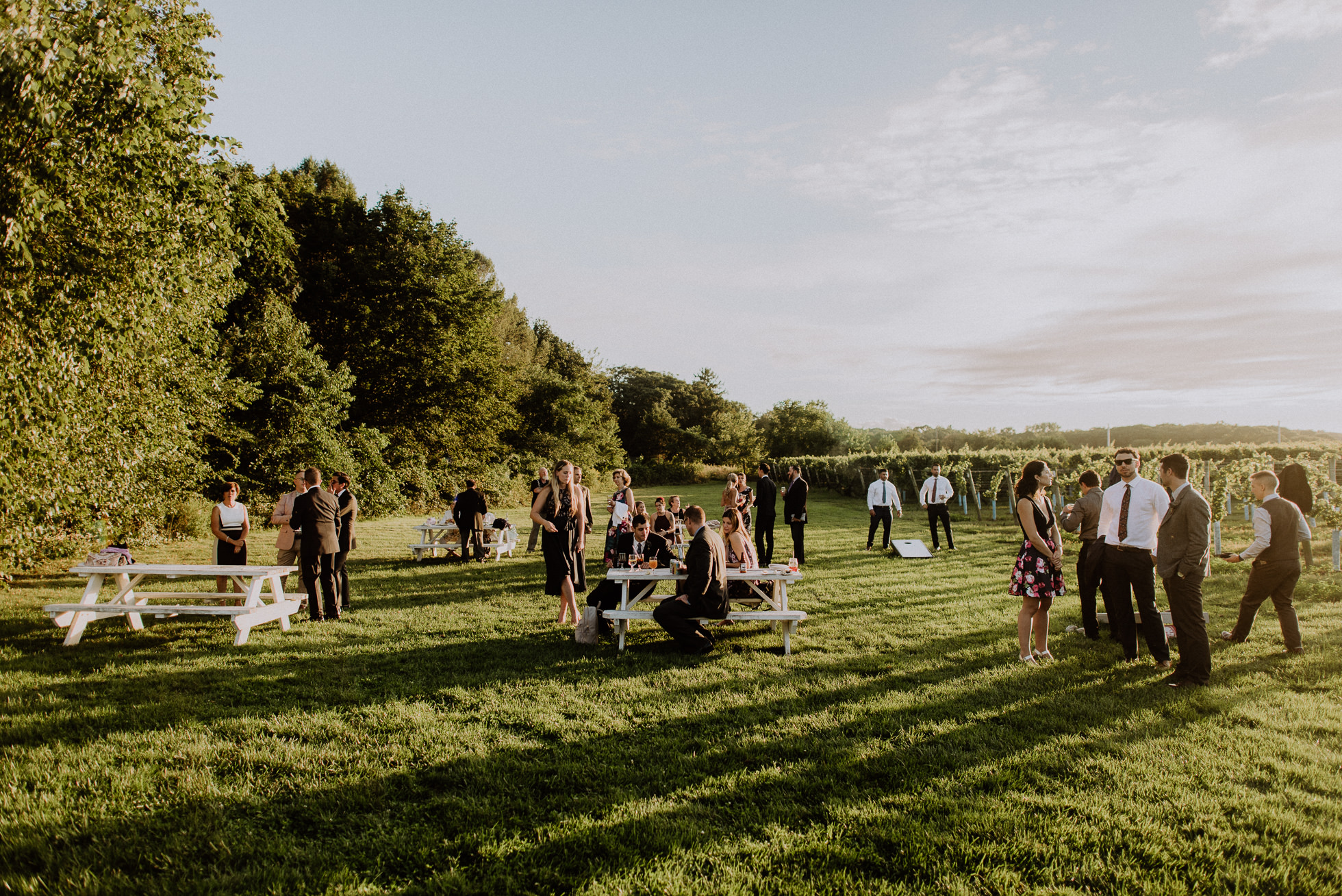 Bedell Cellars outdoor wedding reception