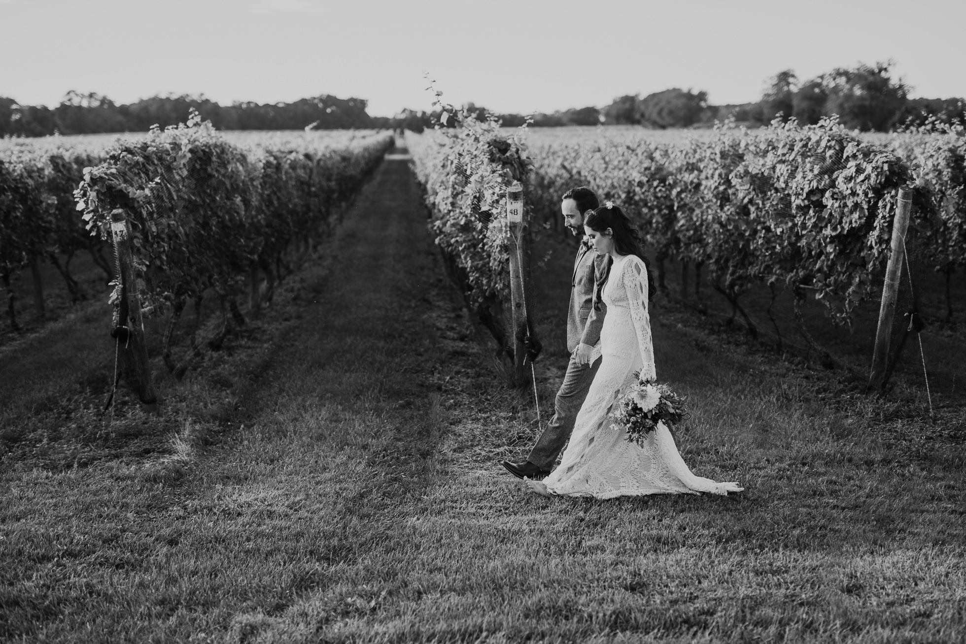 vineyard wedding photos